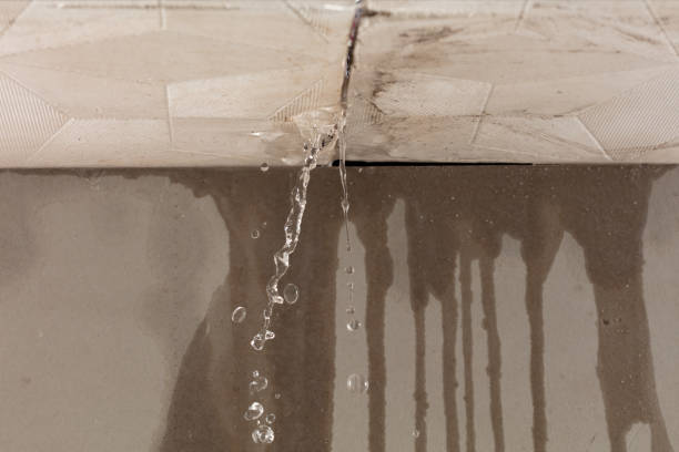 Professional Sewage Cleanup technician working in Ashton, IL